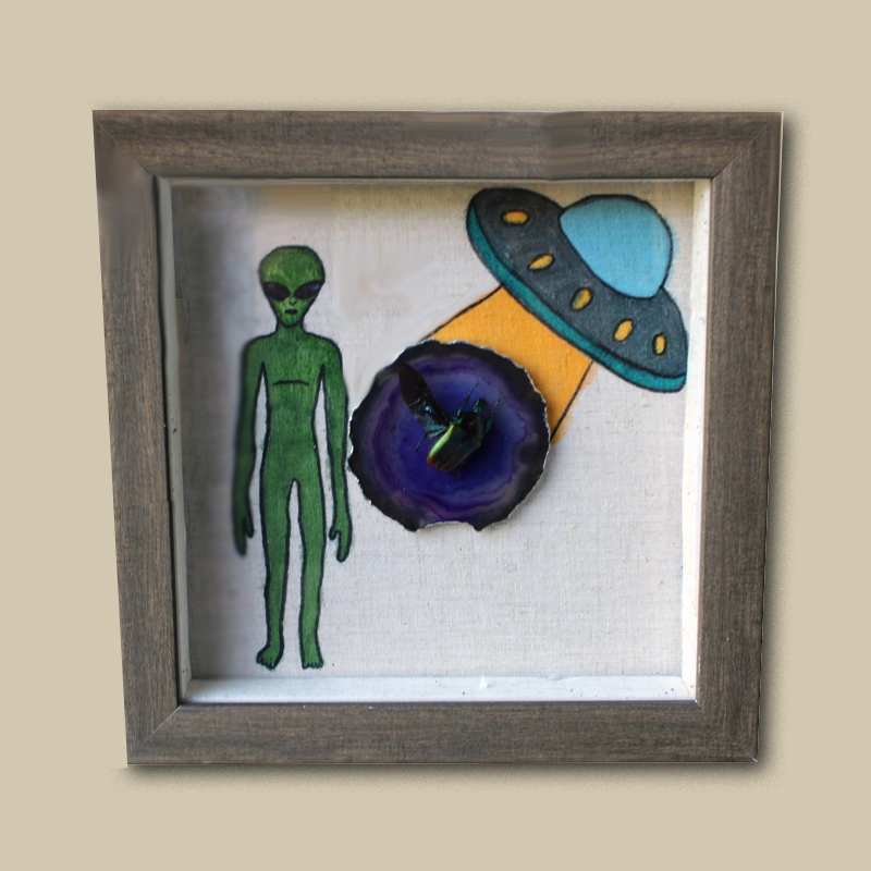 Alien abduction scene with Neptunides polychrous beetle and purple agate