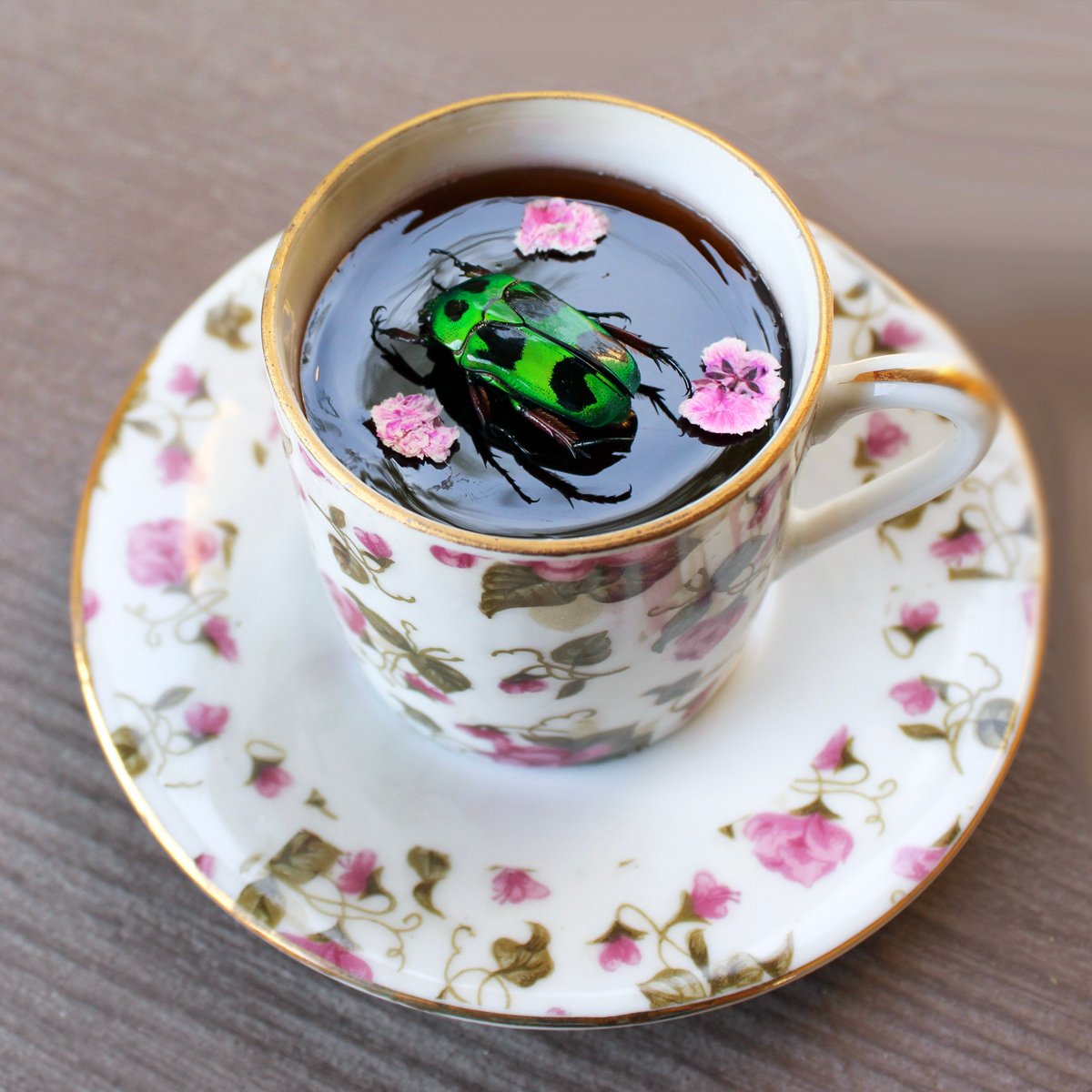 teacup art with Heyerorrhina Macleayi Beetle with with real dried flowers in resin