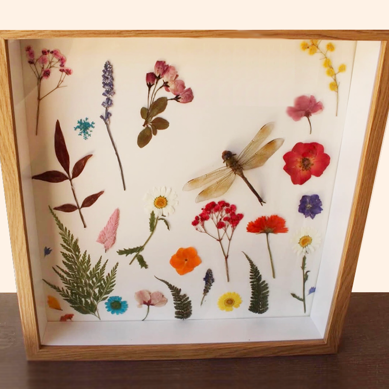 Common green draper dragonfly preserved with florals