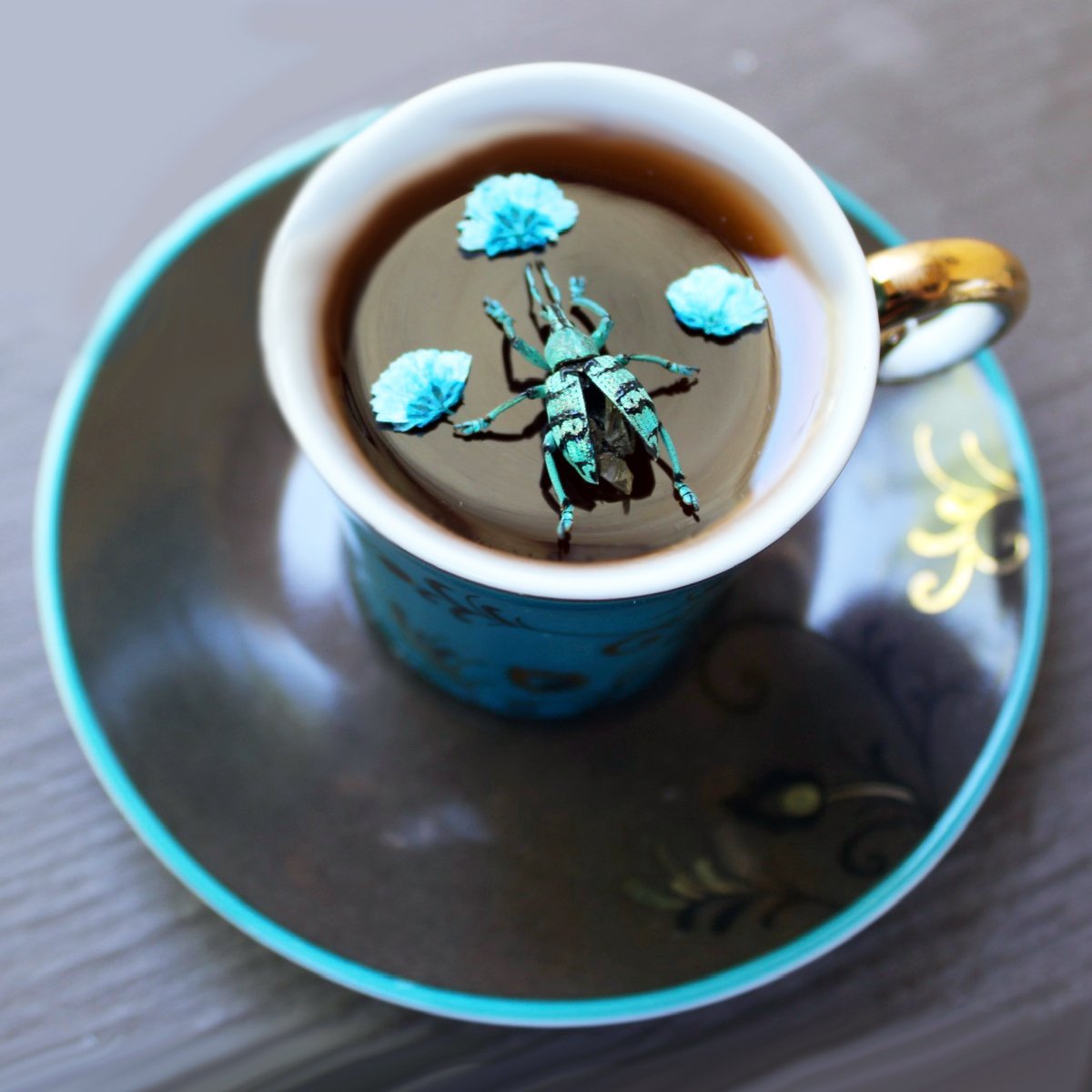 teacup art with Eupholus Chevrolati Beetle with dried florals in resin