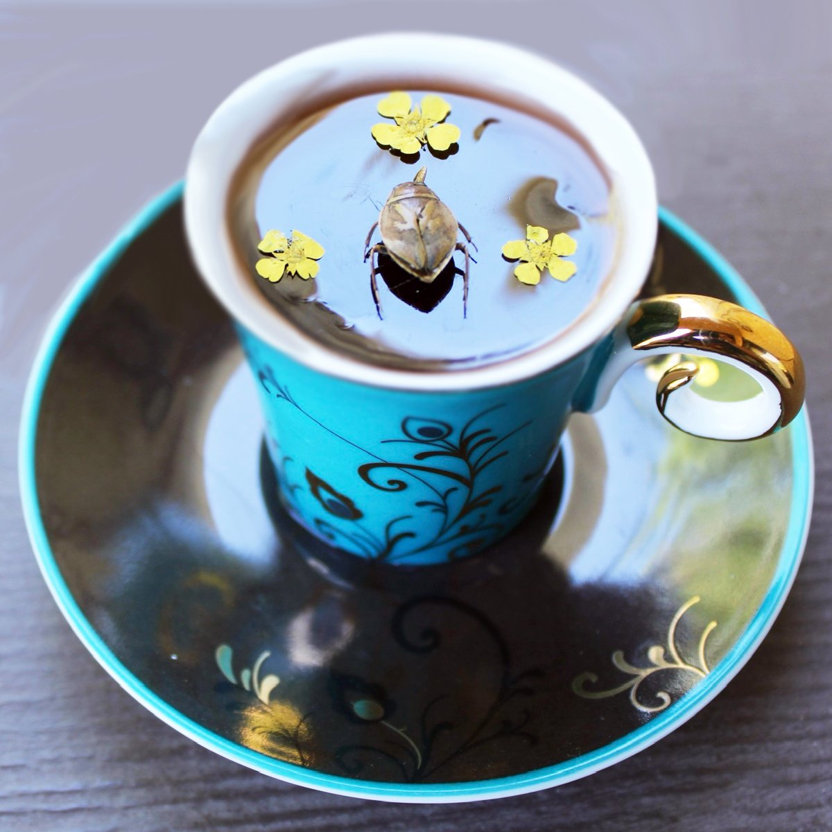 teacup art with floating Diplonychus Diplonychus Tea Bloom