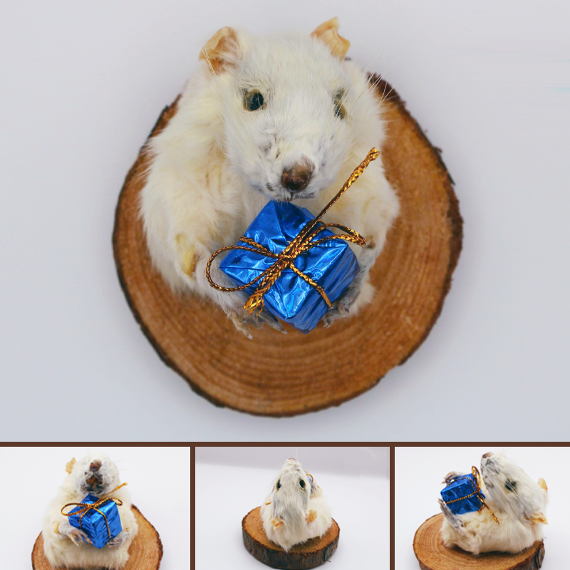 Shoulder-mounted rat with a present in hand