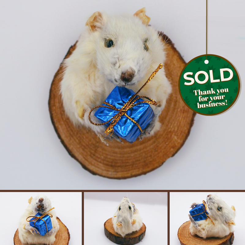 Shoulder-mounted rat with a present in hand