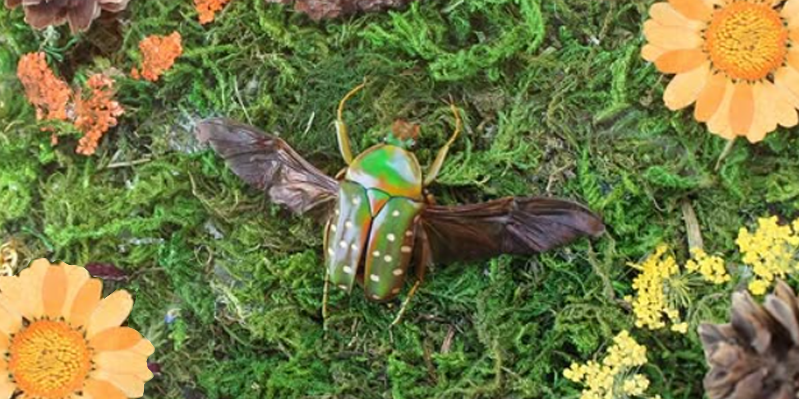 Taxidermy and vintage decor