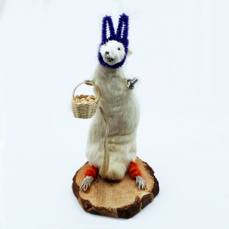 Easter bunny rat with basket in hand with a sip of lemonade