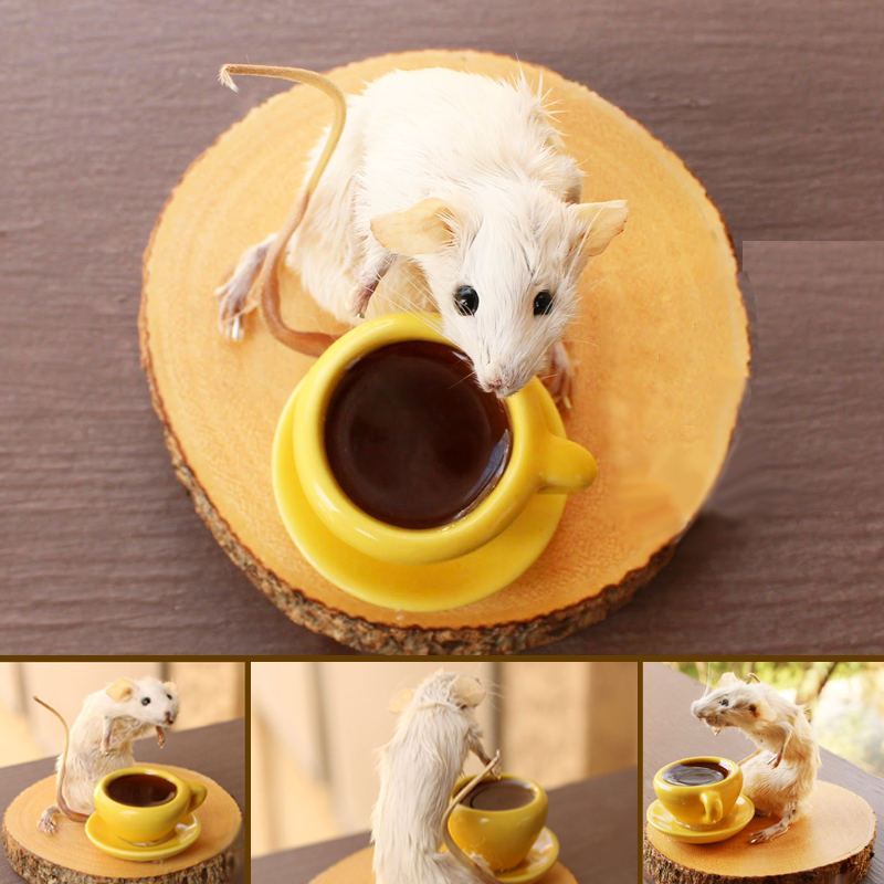 Soft-mounted mouse with a cup of tea with original skull forming the shape of its head
